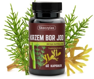 Skoczylas Krzem, Bor, Jod 60 kapsułek