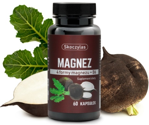 Skoczylas Magnez 4 formy - czarna rzepa 60 kapsułek Skoczylas Magnez 4 formy - czarna rzepa 60 kapsułek