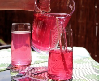 Bolero Instant Drink Sticks Raspberry 3g