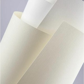 PAPIER OZDOBNY A4/120g PŁÓTNO BIAŁY (50) Galeria Papieru