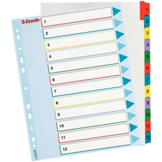 PRZEKŁADKI MYLAR ESSELTE A4 1-12 Esselte