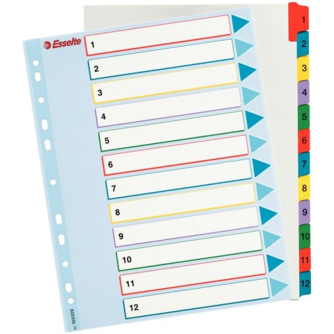 PRZEKŁADKI MYLAR ESSELTE A4 1-12 Esselte PRZEKŁADKI MYLAR ESSELTE A4 1-12 Esselte