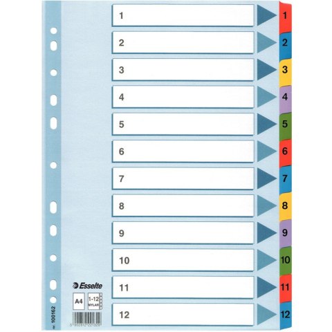 PRZEKŁADKI MYLAR ESSELTE A4 1-12 Esselte PRZEKŁADKI MYLAR ESSELTE A4 1-12 Esselte
