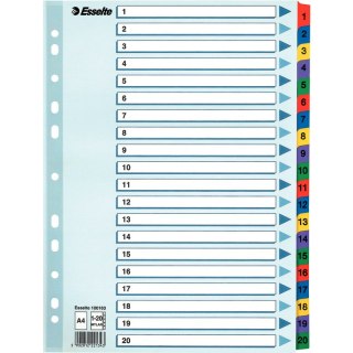 PRZEKŁADKI MYLAR ESSELTE A4 1-20 Esselte