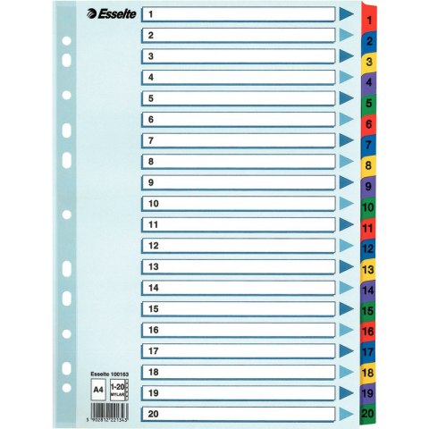 PRZEKŁADKI MYLAR ESSELTE A4 1-20 Esselte PRZEKŁADKI MYLAR ESSELTE A4 1-20 Esselte