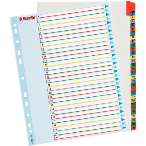 PRZEKŁADKI MYLAR ESSELTE A4 1-31 Esselte PRZEKŁADKI MYLAR ESSELTE A4 1-31 Esselte