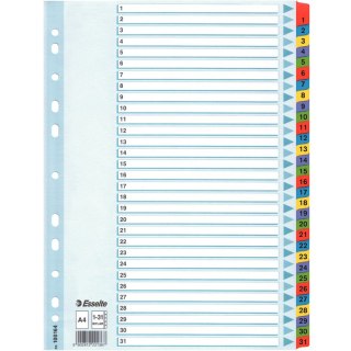 PRZEKŁADKI MYLAR ESSELTE A4 1-31 Esselte