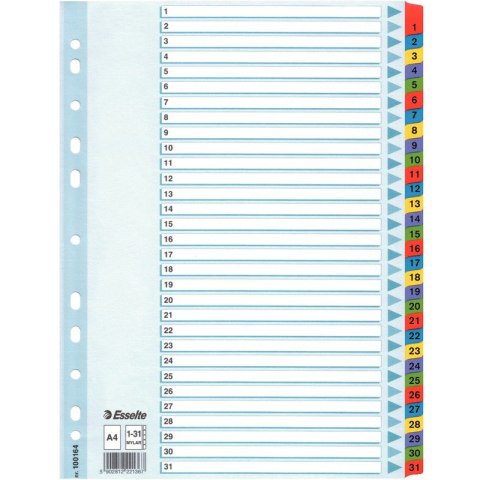 PRZEKŁADKI MYLAR ESSELTE A4 1-31 Esselte PRZEKŁADKI MYLAR ESSELTE A4 1-31 Esselte