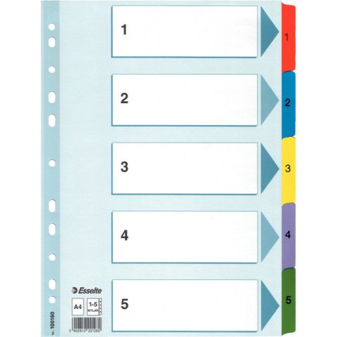 PRZEKŁADKI MYLAR ESSELTE A4 1-5 Esselte