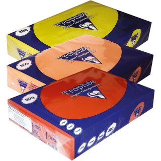 Papier Trophee A4/80g brąz wielbłądzi (500) TROPHEE