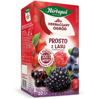 Herbata Herbapol Herbaciany Ogród Prosto z lasu (20) Herbapol