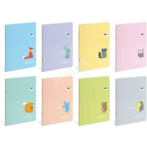 Zeszyt Interdruk B&B Kids Pastel A5/32k kratka Interdruk Zeszyt Interdruk B&B Kids Pastel A5/32k kratka Interdruk