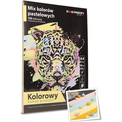 Papier Emerson A4/80g pastelowy 5 kolorów (5x20) Emerson Papier Emerson A4/80g pastelowy 5 kolorów (5x20) Emerson