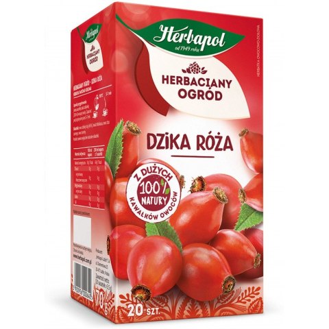 HERBATA HERBAPOL DZIKA RÓŻA (20) Herbapol HERBATA HERBAPOL DZIKA RÓŻA (20) Herbapol