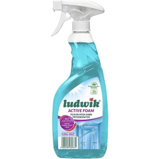 Pianka Ludwik 600ml do czyszczenia kabin prysznicowych LUDWIK