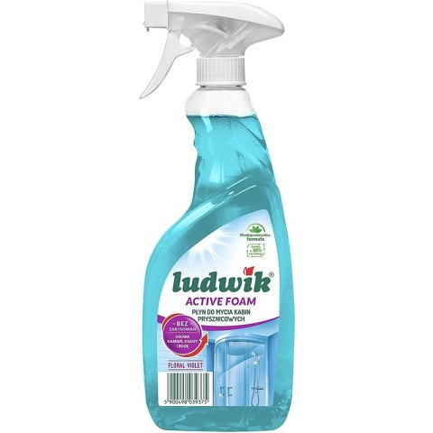 Pianka Ludwik 600ml do czyszczenia kabin prysznicowych LUDWIK Pianka Ludwik 600ml do czyszczenia kabin prysznicowych LUDWIK