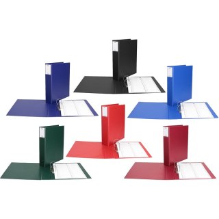 Segregator do akt osobowych Biurfol A4/5.5cm 2R ni Biurfol