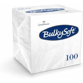 Serwetki BulkySoft 24x24cm 2w celulozowe białe (100) BulkySoft