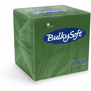 Serwetki BulkySoft 24x24cm 2w celulozowe zielone (100) BulkySoft