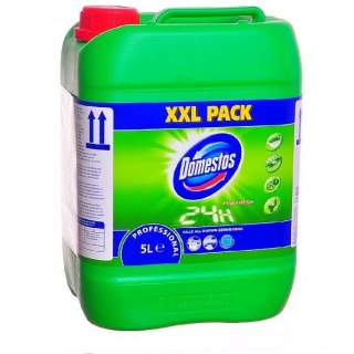 Płyn do Wc Domestos 5L Pine Domestos
