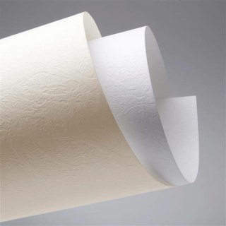 KARTON OZDOBNY A4/230g SKÓRA BIAŁY (20) Galeria Papieru
