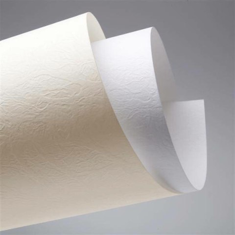 KARTON OZDOBNY A4/230g SKÓRA BIAŁY (20) Galeria Papieru KARTON OZDOBNY A4/230g SKÓRA BIAŁY (20) Galeria Papieru