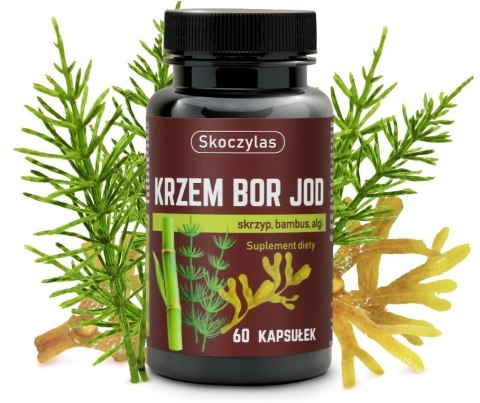 Skoczylas Krzem, Bor, Jod 60 kapsułek Skoczylas Krzem, Bor, Jod 60 kapsułek