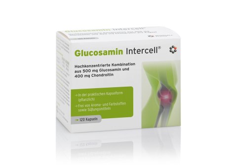 Mito-Pharma Glucosamin-Intercell 120 kapsułek