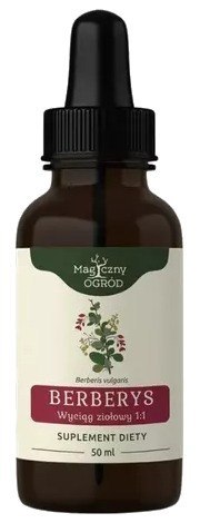 Nanga Berberys wyciąg ziołowy 1:1 50ml