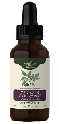 Nanga Żeń-szeń syberyjski wyciąg ziołowy 1:1 50ml