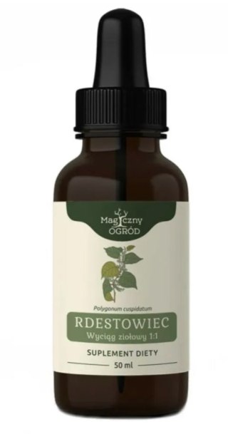 Nanga Rdestowiec japoński wyciąg 1:1 50 ml